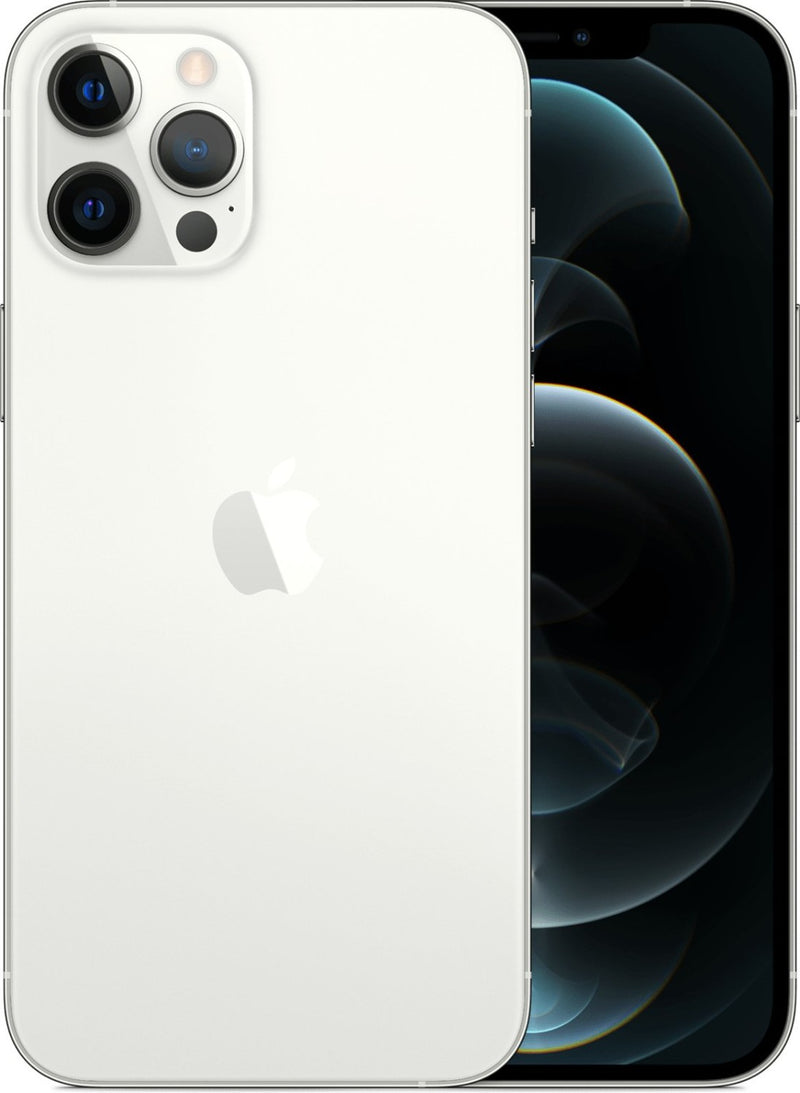 Apple iPhone 12 Pro Max Reparatur