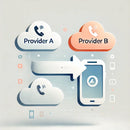 NÜV-Information - Nummernübertragungsinformation