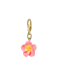 Ideal of Sweden Charm Holly