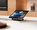Twelve South Curve Mini (Slate)